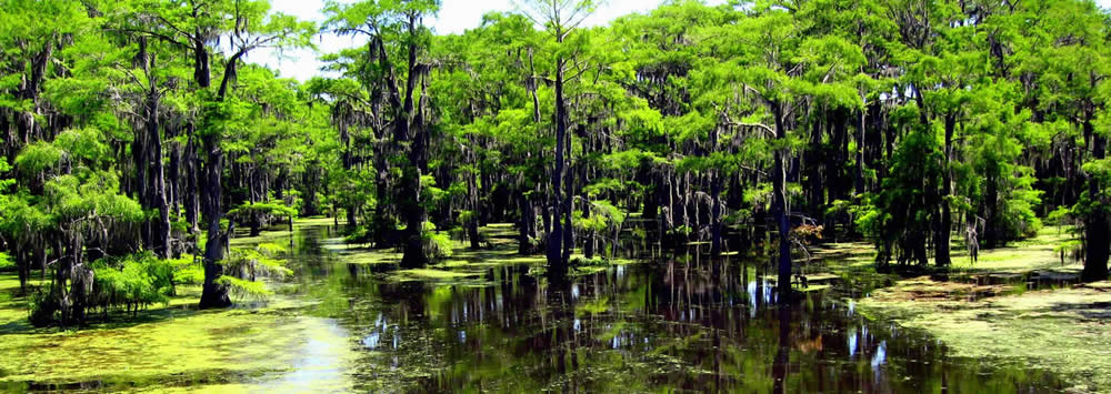 Caddo