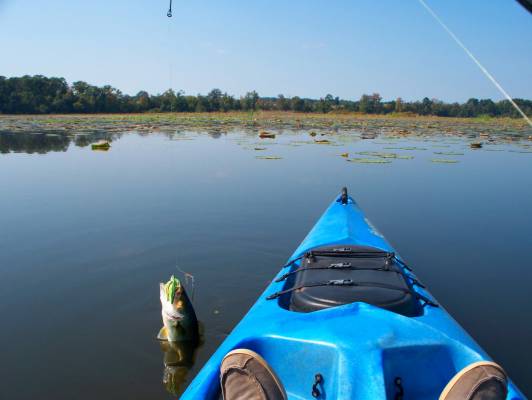 2e1ax hako entry 102014 LOP FishingKayak copy