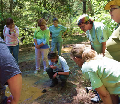 AnimalTrackTraining050215