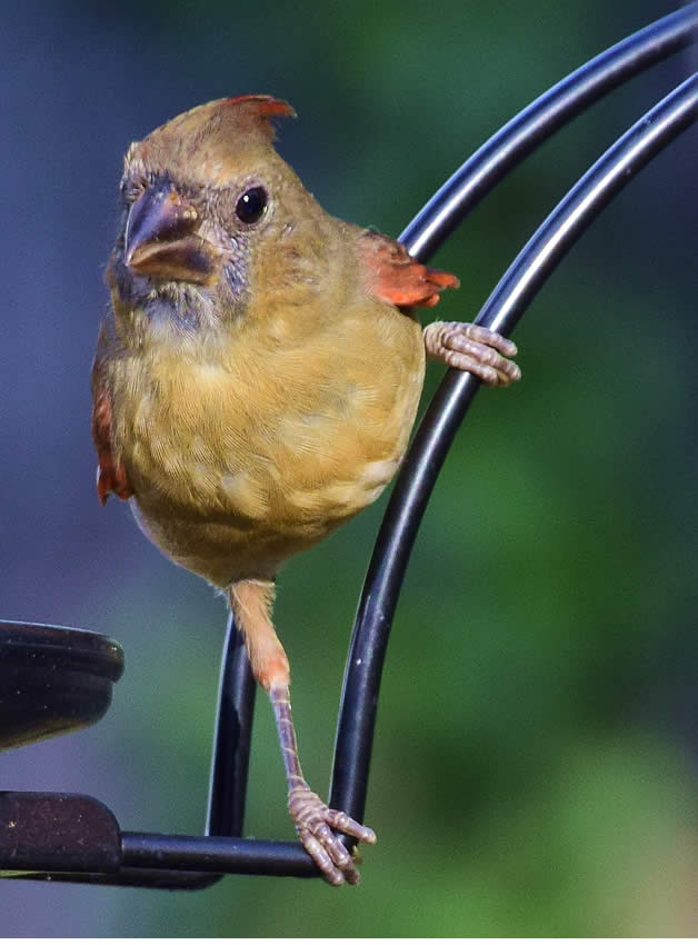 NewLens18 300092315 069